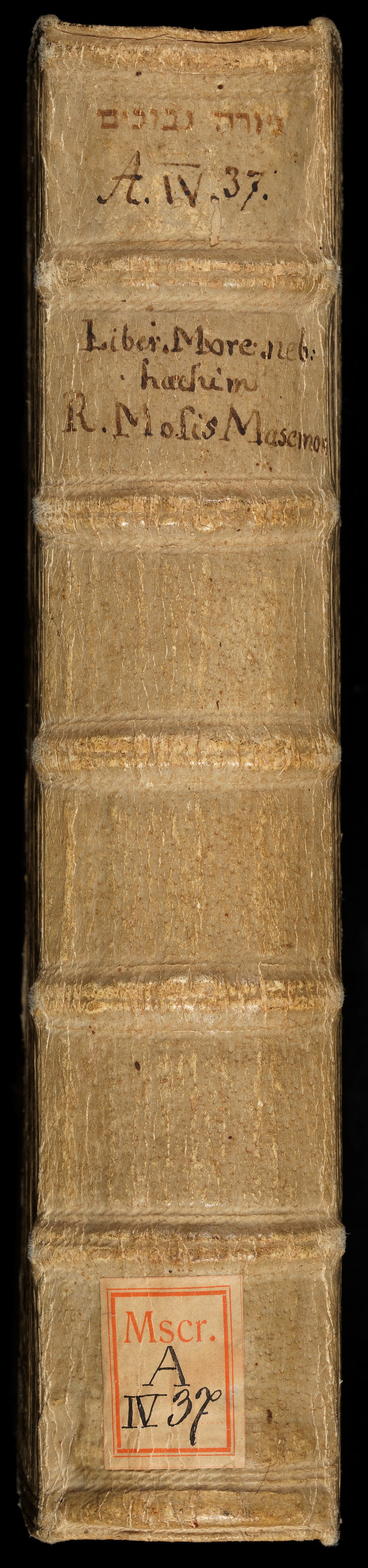 Moses Maimonides