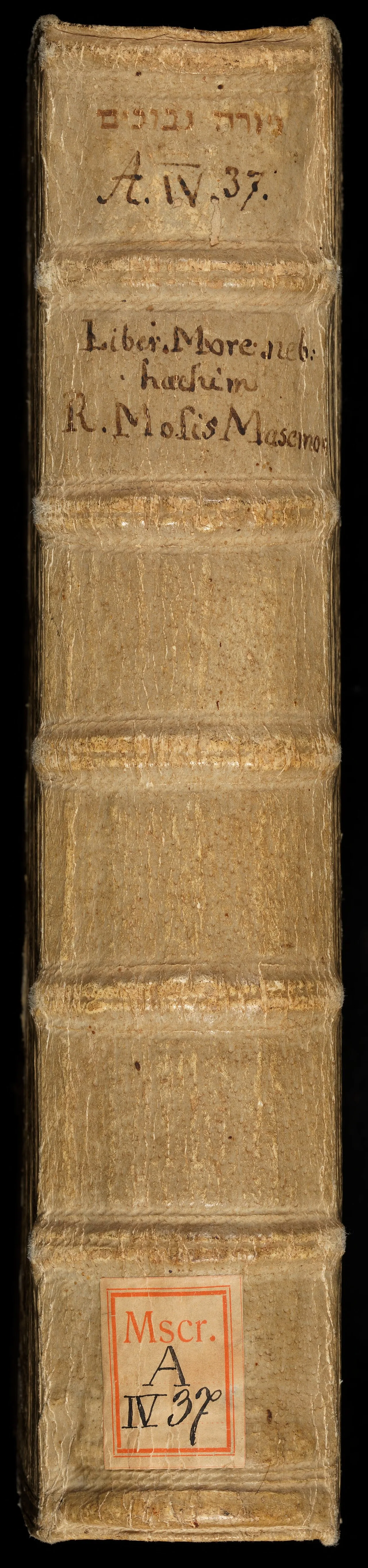 Moses Maimonides